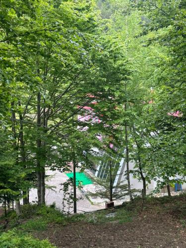 インの近くで見られる自然の景観