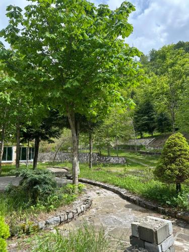 コルチャにあるDardha INNの石道公園内の木