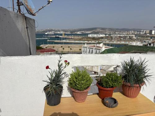 four potted plants sitting on a table on a balcony at The Medina Riad in Tangier