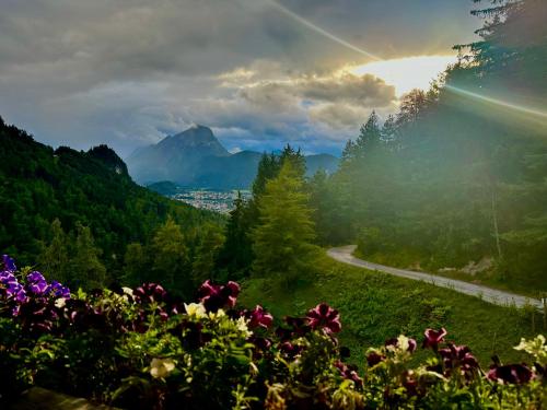 a road in the mountains with flowers in the foreground at Veitenhof im Kaisertal, nur nach 30 minütigem Spaziergang erreichbar, only after 30 minutes walk reachable in Ebbs