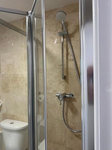 ducha con puerta de cristal y aseo en The Garden Flat, en Dorchester