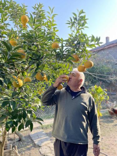 a man eating oranges from an orange tree at Tazos Winery guest house in Abasha