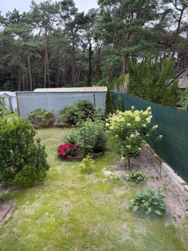 a yard with some plants and a fence at Apartament przy plaży Rogowo in Rogowo