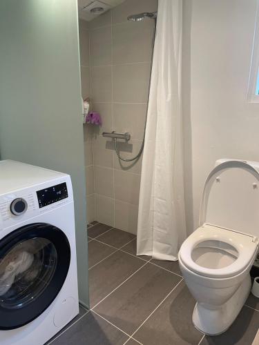 a bathroom with a washing machine next to a toilet at Modern and cozy holiday home in Jægerspris
