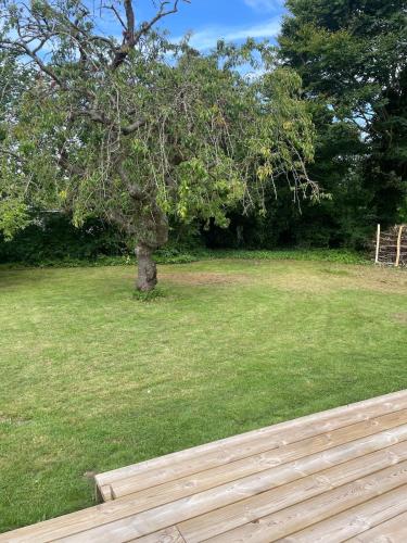 a tree in a field with a wooden deck at Modern and cozy holiday home in Jægerspris