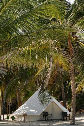 a white tent under two palm trees on the beach at Hotel Cielo y Selva in Punta Allen