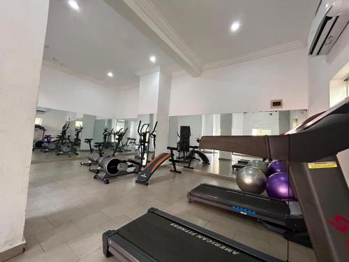 Pusat kecergasan dan/atau kemudahan kecergasan di MEX APARTMENTs Parkview ikoyi