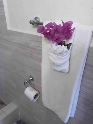 a vase of flowers sitting on a counter with a roll of toilet paper at Hummingbird Villa in Saint Johnʼs