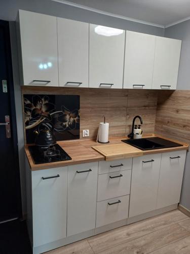 Dapur atau dapur kecil di Domek nad jeziorem Piasecznik