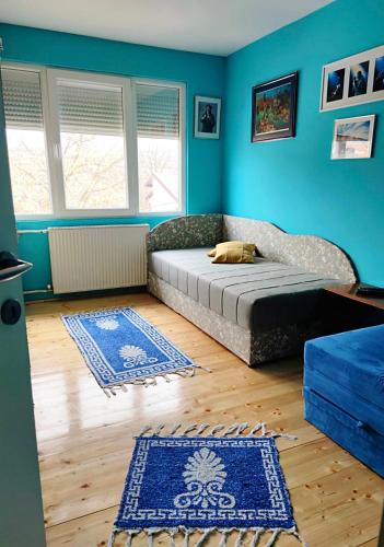 a bedroom with a bed and blue walls and wooden floors at ZNK Family House in Skopje