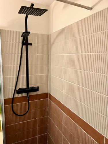 une douche dans une salle de bain avec du carrelage marron et blanc dans l'établissement alsace, à Bordeaux