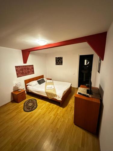 a bedroom with a bed and a television in it at Pensiunea Flora in Cîrţişoara