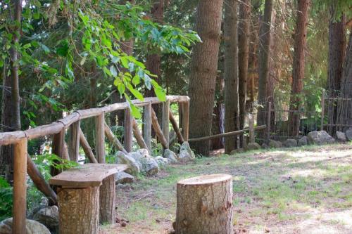 a wooden bench sitting in the middle of a forest at B&B Nonna Iolanda in Camigliatello Silano