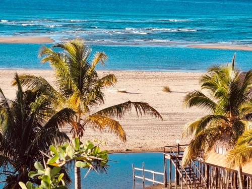 a view of a beach with palm trees and the ocean at Viva O Sonho 