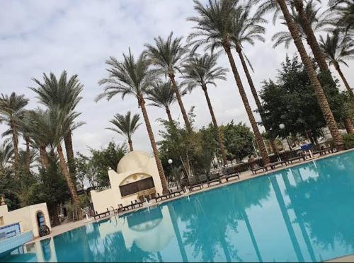a large swimming pool with palm trees and a building at Villa in El-Manâkh