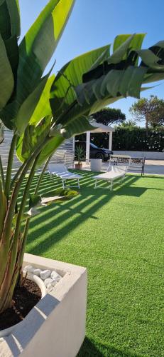 a potted plant in a park with a green lawn at Podilimbo - Ilios e Thalassa in Paestum