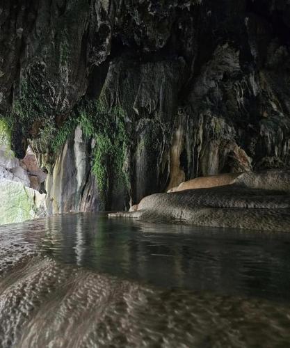 an elephant laying in the water in a cave at Hotel Halidzor in Halidzor