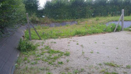a fence in the middle of a field with flowers at Maison entre Cherbourg et Mont Saint Michel in Saint-Aubin-du-Perron