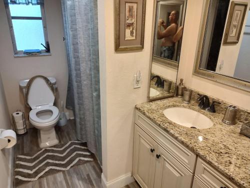 a bathroom with a toilet and a sink and a mirror at TheTotal Florida life style heated pool 5 bedrooms in Punta Gorda