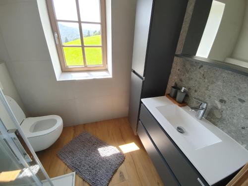a bathroom with a toilet and a sink and a window at Domačija Blaževc in Žiri