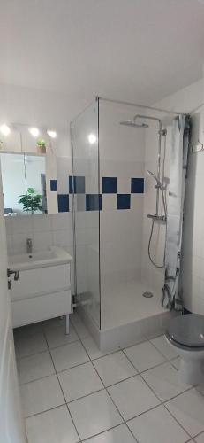 a bathroom with a shower and a sink at T2 vue mer panoramique, 3 ilets in Les Trois-Îlets