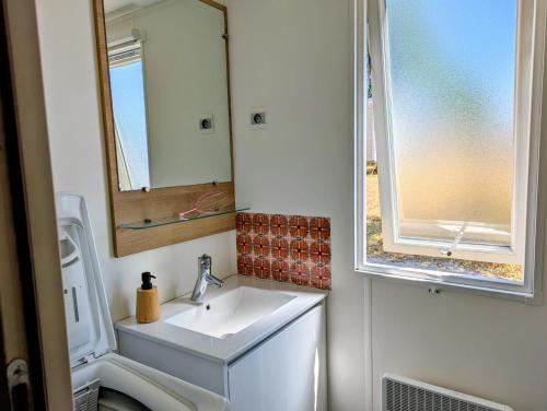 a bathroom with a sink and a mirror at Mobil home Apollon Riviera in Saint-Papoul