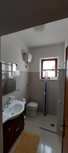 een badkamer met een wastafel, een toilet en een douche bij Casa Rosata in Magliano Sabina