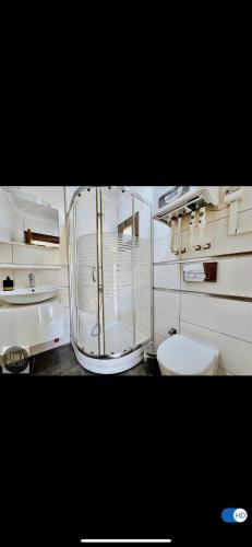 un bagno con doccia in vetro e WC di Villa Tego a Çeşme