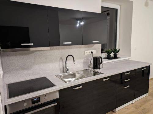 a kitchen with black cabinets and a sink at Apartmány U Lazara in Kutná Hora