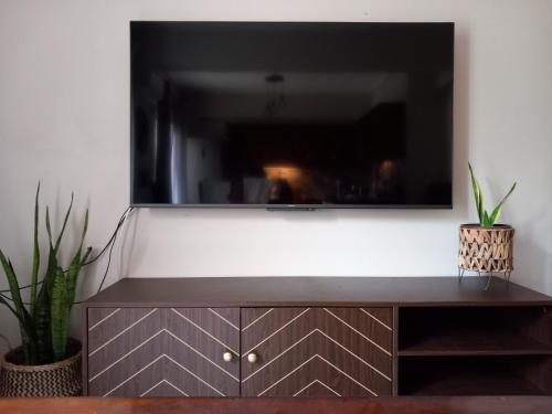 a television on a white wall with two plants at Miriam Luxury apartment in Zakynthos Town