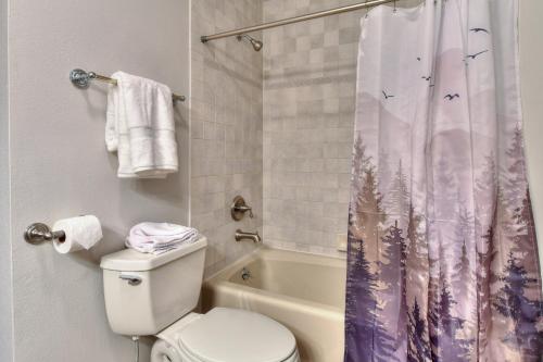 a bathroom with a toilet and a shower curtain at Wedgewood Lodge in Breckenridge