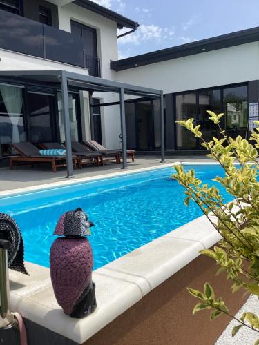 a statue of a penguin sitting next to a swimming pool at Villa Biser Gacke in Sinac