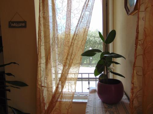 a plant sitting on a window sill next to a curtain at Appartamenti Ca'Melia in Sarzana