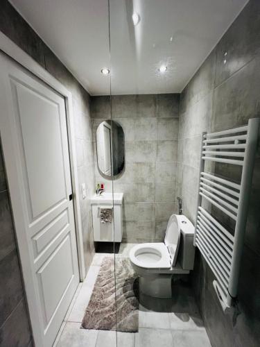 a bathroom with a toilet and a sink and a mirror at Appartement cosy prêt de Paris Cdg, Astérix , Parc des expositions et Centre de formation CAMAS in Tremblay-En-France