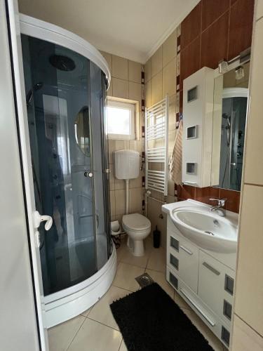 a bathroom with a shower and a toilet and a sink at Niki Apartment in Palić