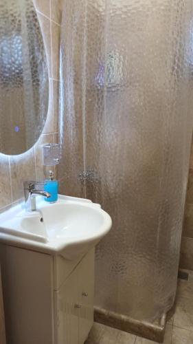 a bathroom with a sink and a shower curtain at Appartment Polyxeni in Samos