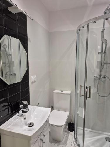 a bathroom with a toilet and a sink and a shower at Tarnów Zawada Apartament in Tarnów