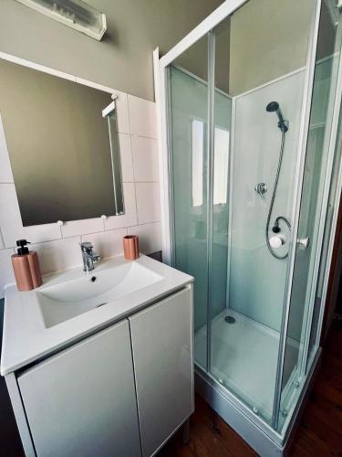 a bathroom with a sink and a shower at Canalentin - proche Canal du Midi in Castelnaudary