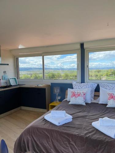 a bedroom with a large bed with large windows at Domaine du Petit Tournebelle in Gruissan