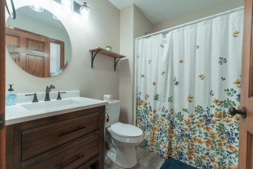 La salle de bains est pourvue d'un lavabo et de toilettes avec rideau de douche. dans l'établissement Amazing View Hot Tub Firepit BBQ Private Pets, à Rileyville