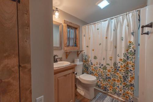 une salle de bain avec toilettes, lavabo et douche dans l'établissement Hideaway Tiny Cabin, Hot Tub, View, Firepit, à Rileyville