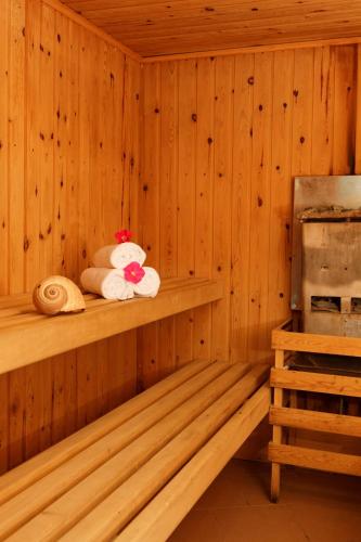 a sauna with a teddy bear sitting on a shelf at Indigo Mare in Plataniás