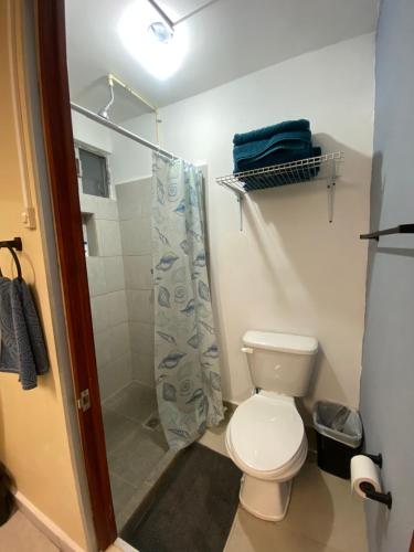 a bathroom with a toilet and a shower at Hostal TO3 in Ciudad Madero
