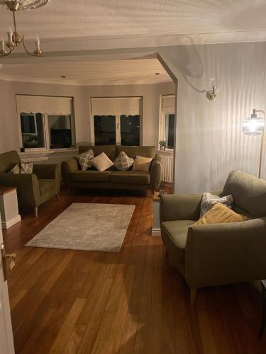 una sala de estar con un sofá y una alfombra en Dollys Lakeview Getaway, en Dungloe
