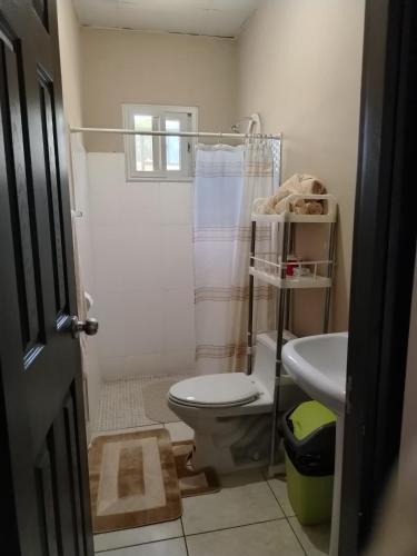 a bathroom with a shower and a toilet and a sink at Hermosa residencia entre David y Boquete in Los Algarrobos