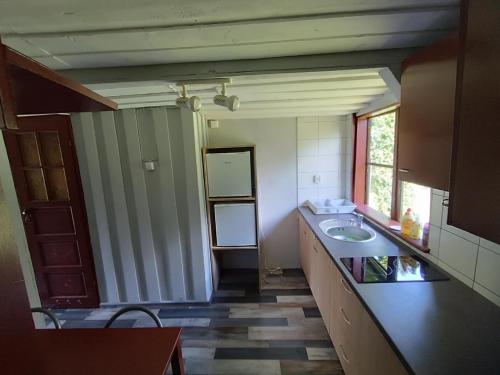 a bathroom with a sink and a counter top at Domek nad Trojanką koło Olsztyna Blisko jeziora in Wrzesina