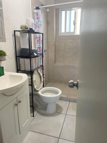 a bathroom with a toilet and a shower and a sink at Ubicado en coto privado a 5km de Nuevo Vallarta in Mezcales