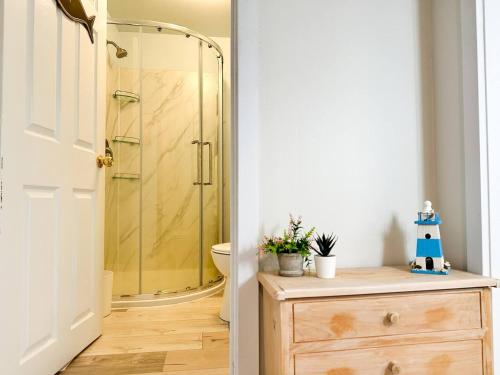 ein Badezimmer mit einer Dusche und einer Holzkommode in der Unterkunft Peaceful Lily Pad Cottage In Hubbards in Hubbards