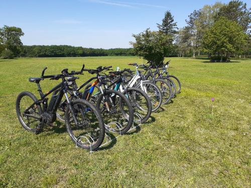 a row of bikes parked in a field at Gite en Forterre in Druyes-les-Belles-Fontaines