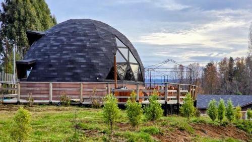 a dome house in a field with plants at Domos Maran Lican Ray in Licán Ray